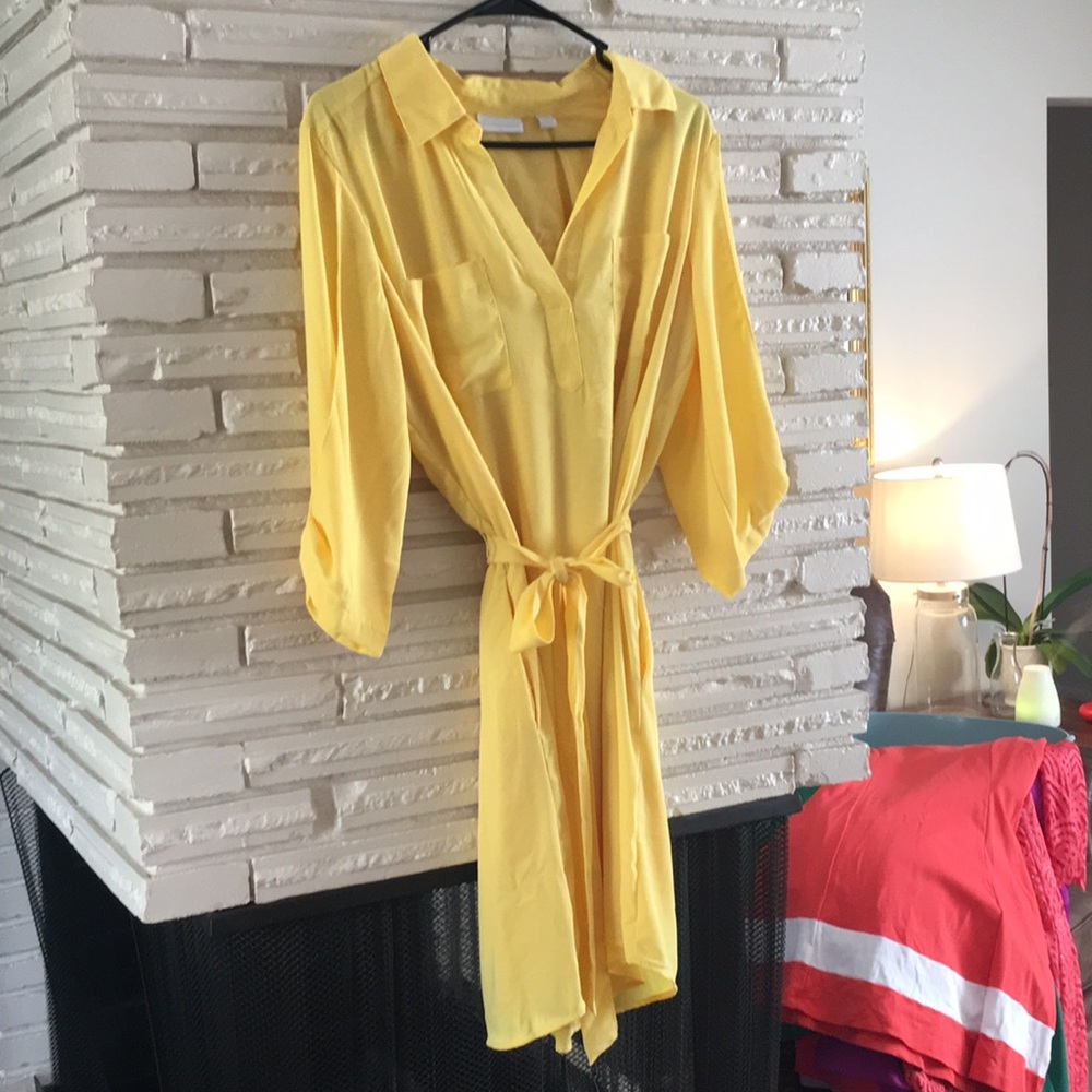 New York & Company belted shirtdress